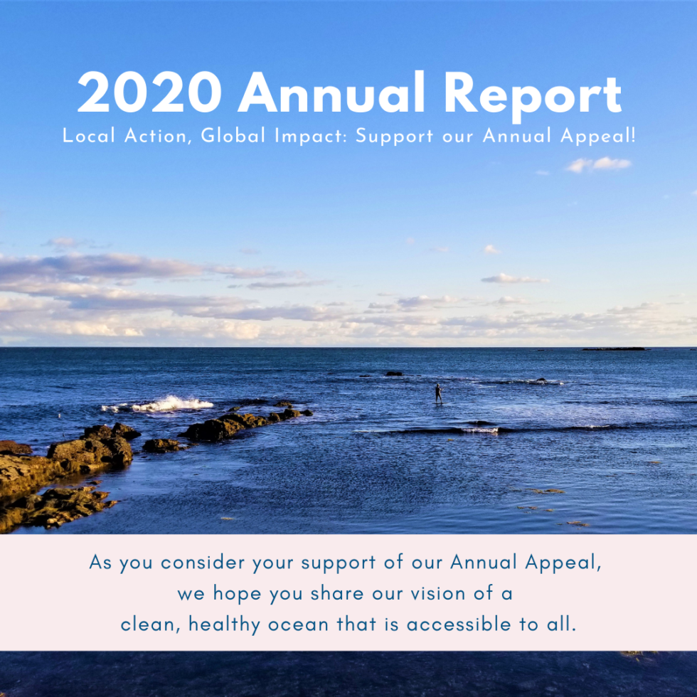 Annual Appeal & Report Announcement